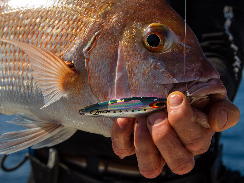 https://www.catchfishing.pro/wp-content/uploads/2016/07/MICRO2.jpg