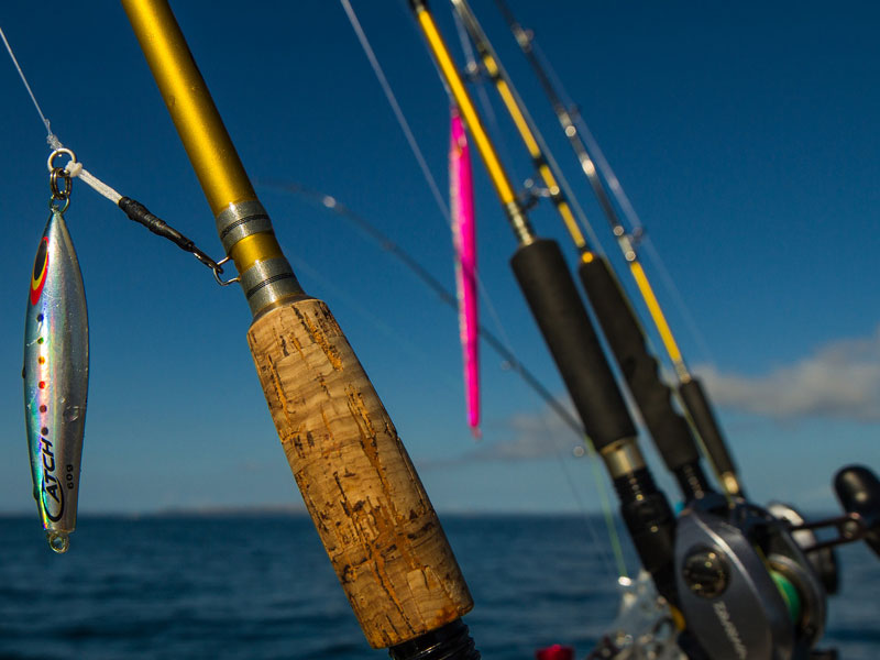 Kensei Slow Pitch Jig rod - Catch Fishing