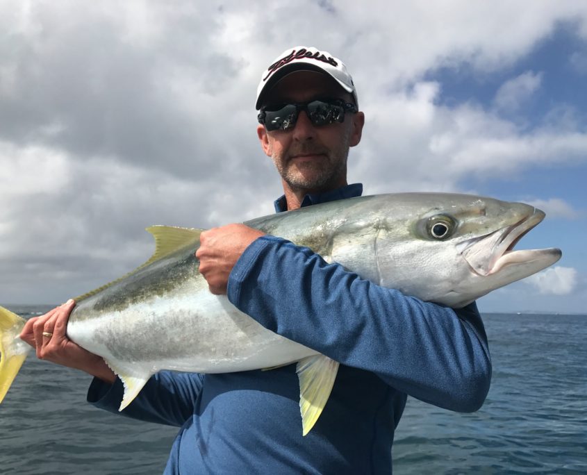 Solid Hauraki Gulf kingfish