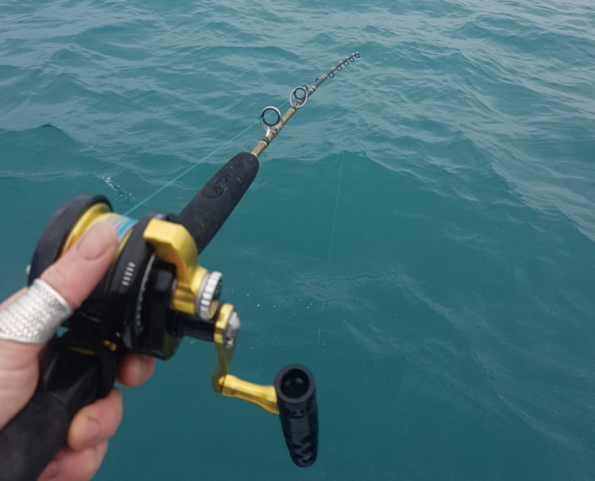 Catch Acid Wrap Rod & JG2000S REEL COMBO - Catch Fishing