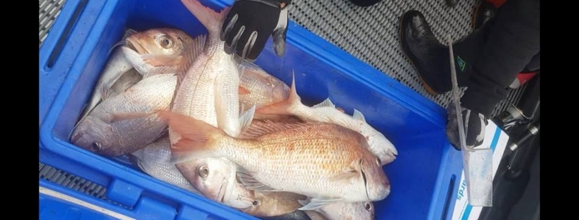 Mo's Fishing Report June 2018
