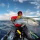 Barrier Mission kingfish on Double-Trouble-check