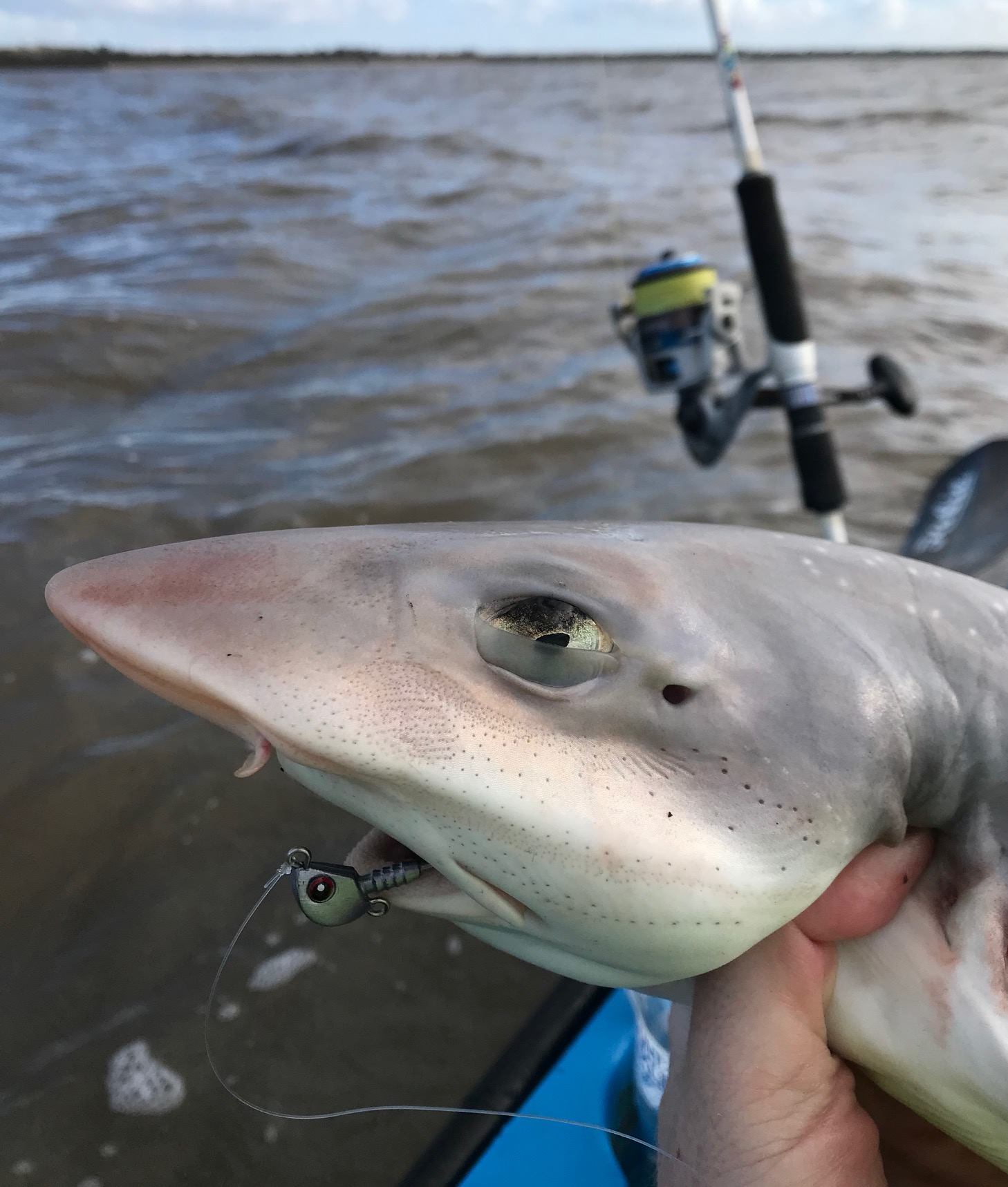 Melbourne Fishing Report 1