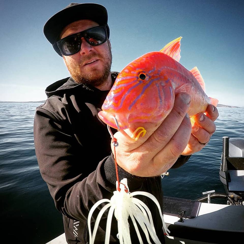 Northern Tasmania Fishing Report Oct. 2018 Catch Fishing