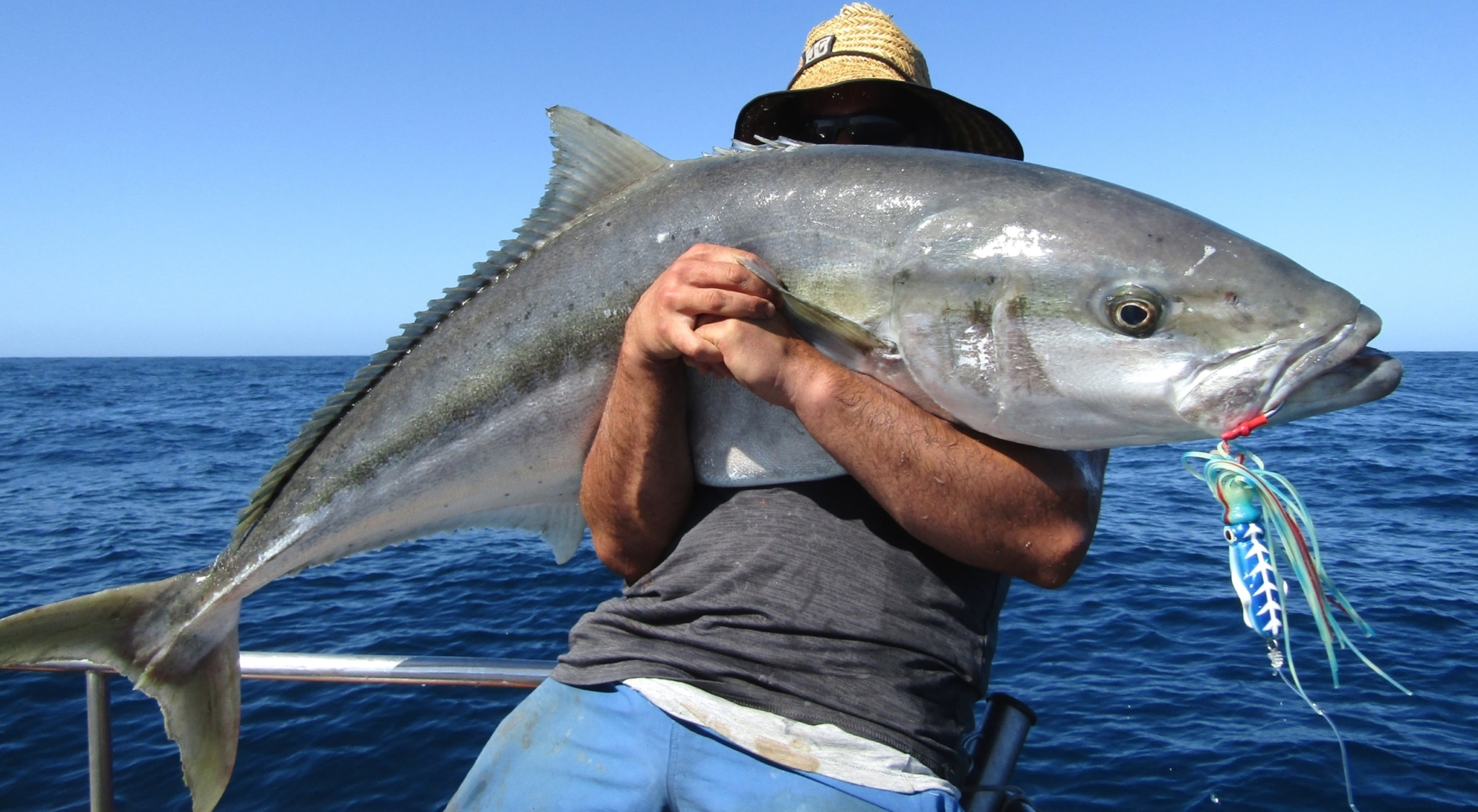 Catch Squidwings is a huge leap forward in fishing technology.