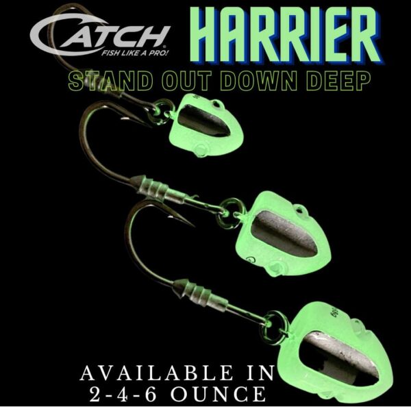 Catch The Harrier Elevator Jig Heads - Image 2
