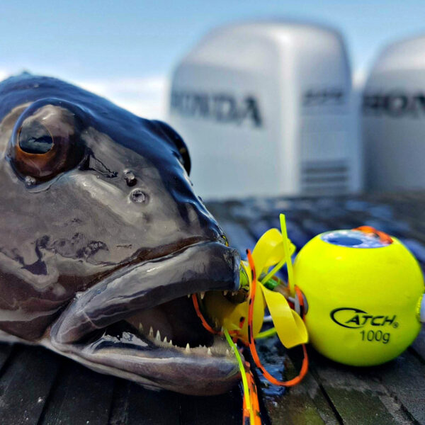 Catch Freestyle Kabura Jig - Image 4