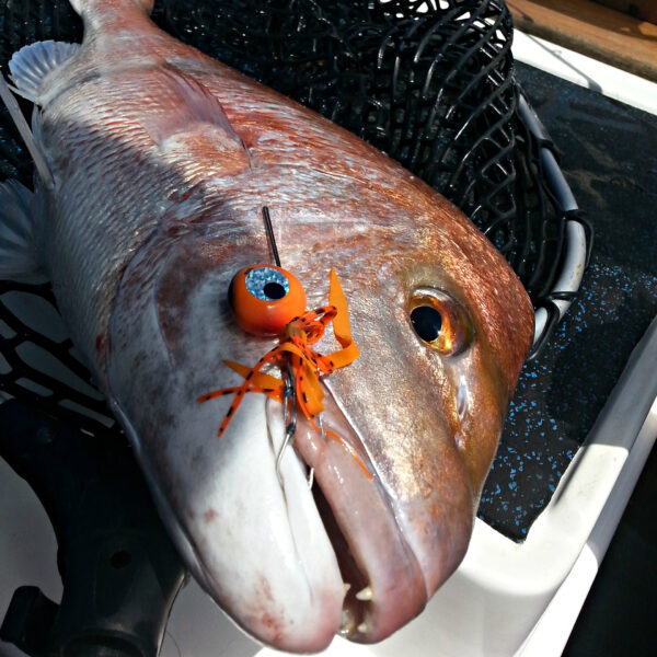 Catch Freestyle Kabura Jig - Image 5