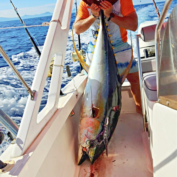 Catch Squidwings Trolling Skirted Lure - Image 3