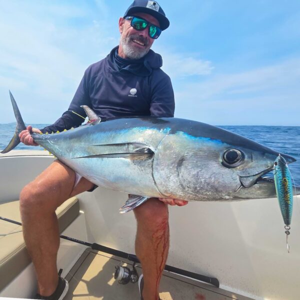 Catch Zingaz Stickbait - Image 4