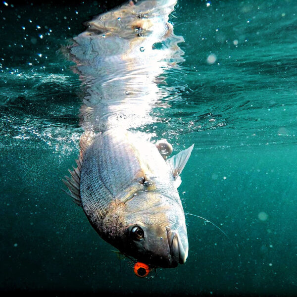 Catch Freestyle Kabura Jig - Image 6