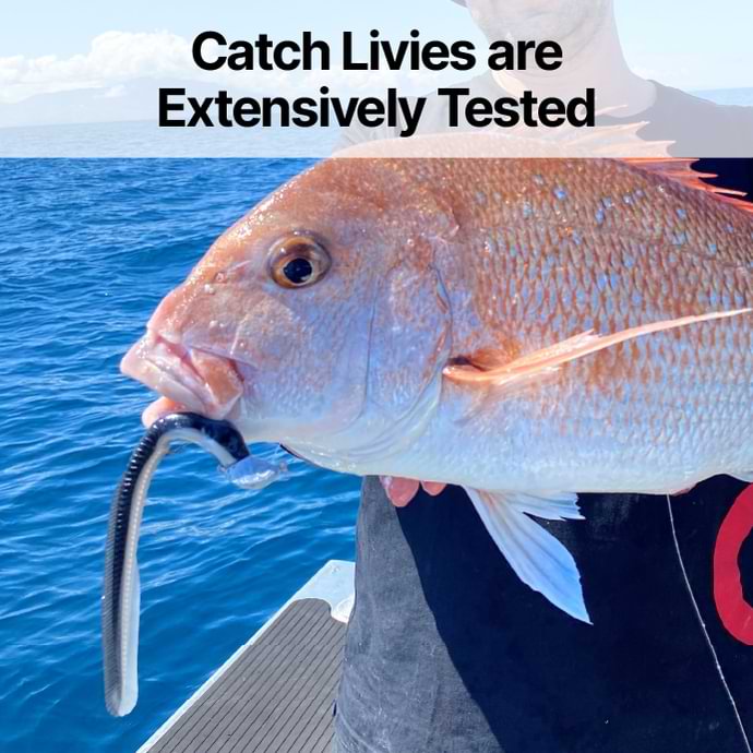 Catch Black Label Livies 7" Eels 4 eels feature